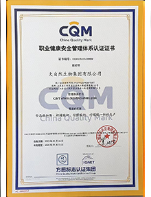 職業健康安全管理體系中文